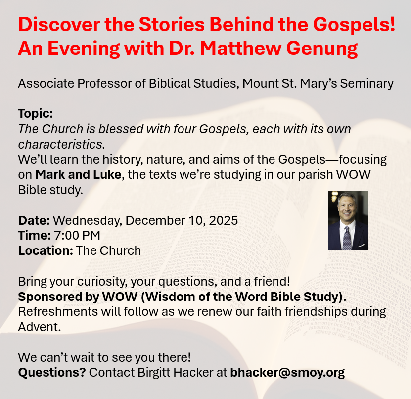 Screenshot 2025 11 18 135722