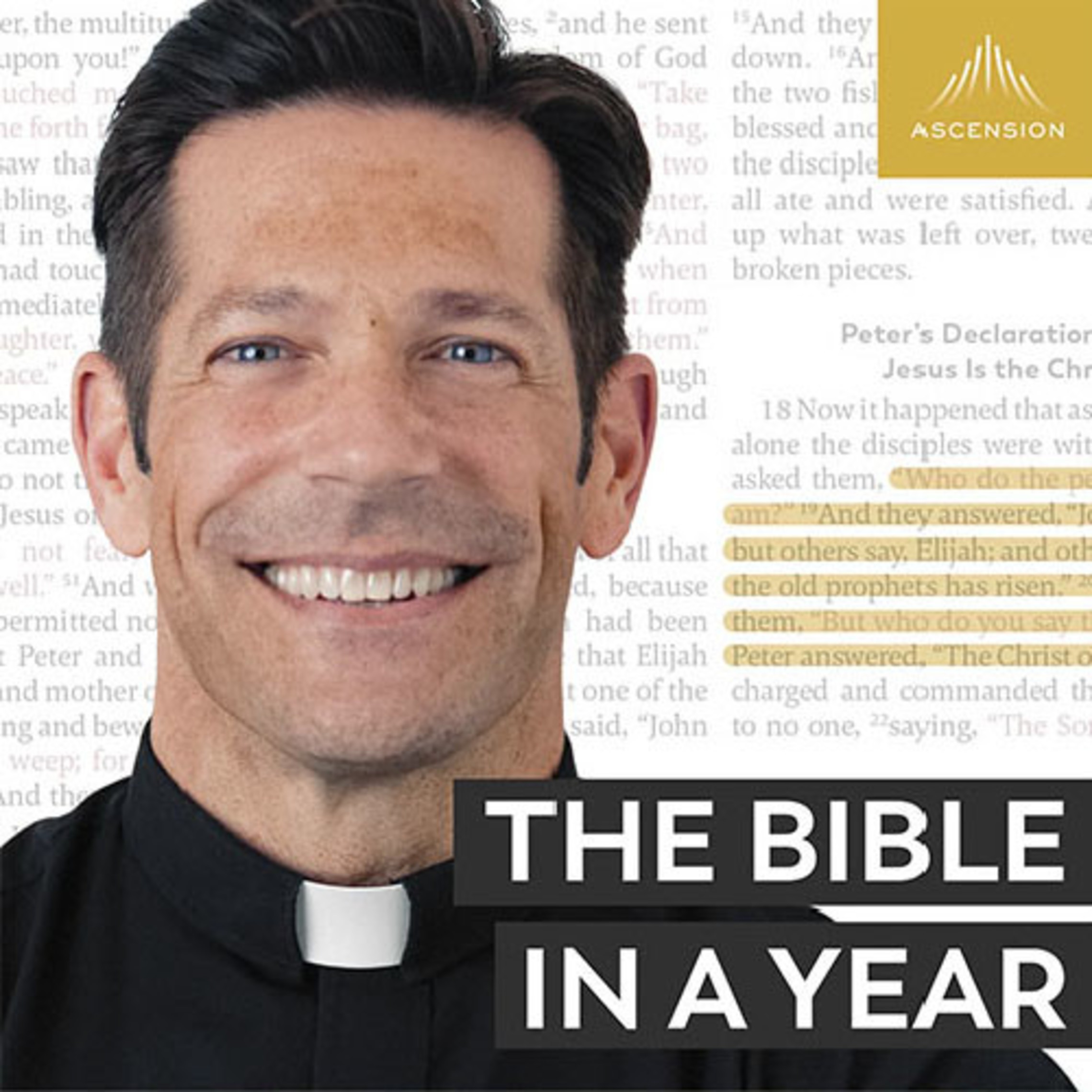 Podcast Bible in a Year