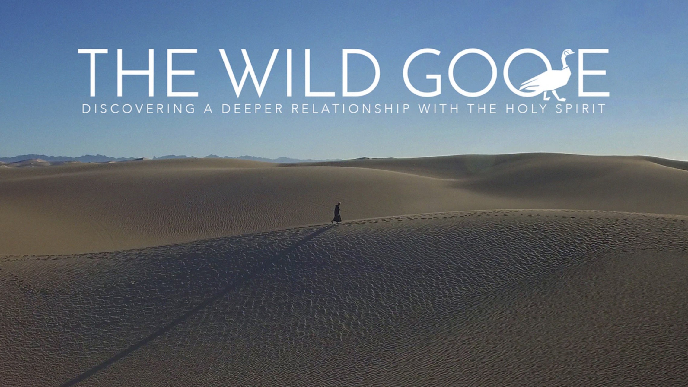 The Wild Goose