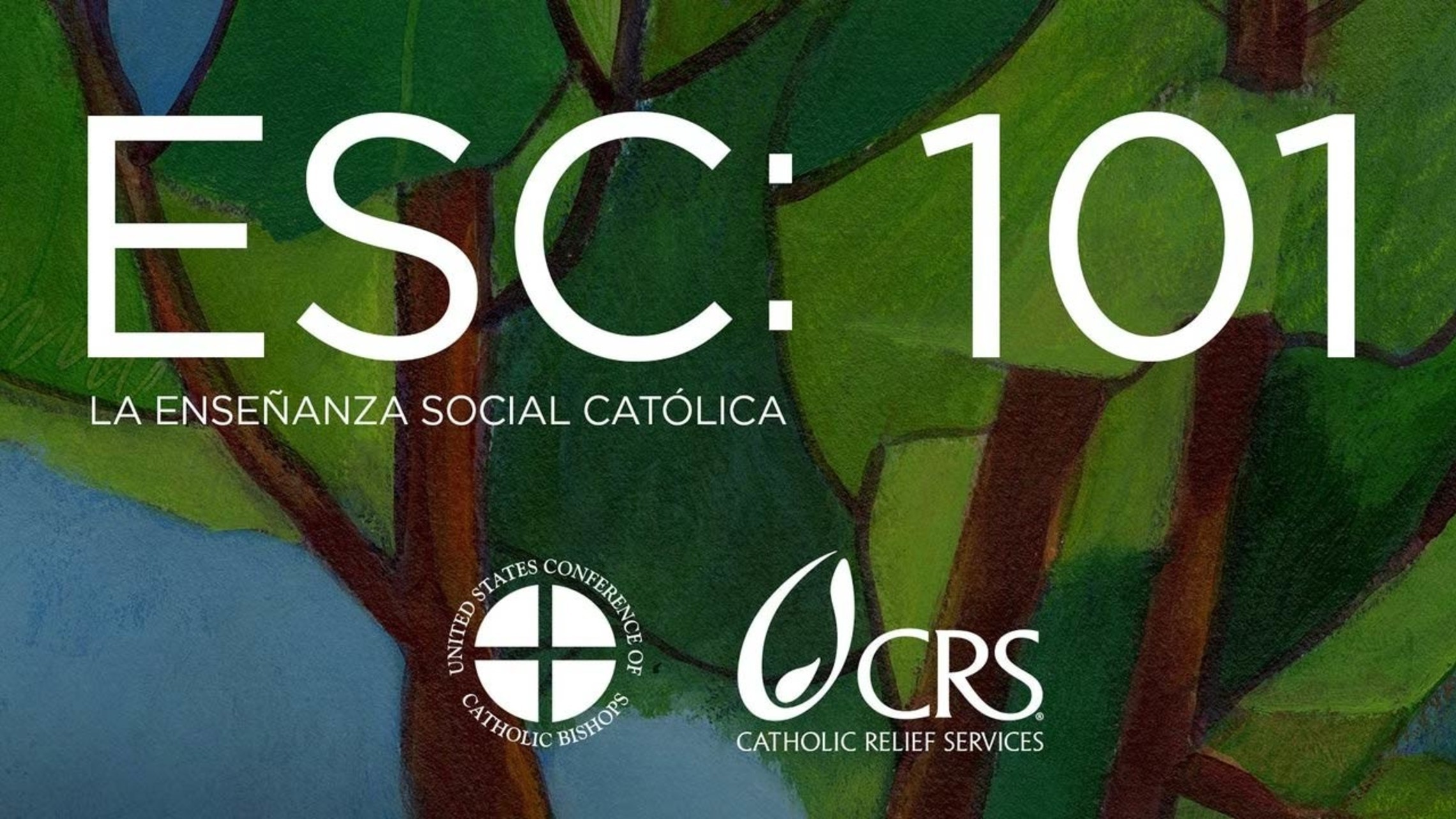 Formed La Ensenanza Social Catolica