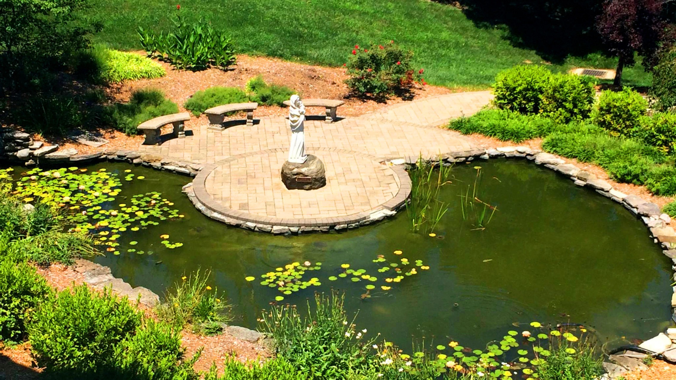 Mary Garden & Pond