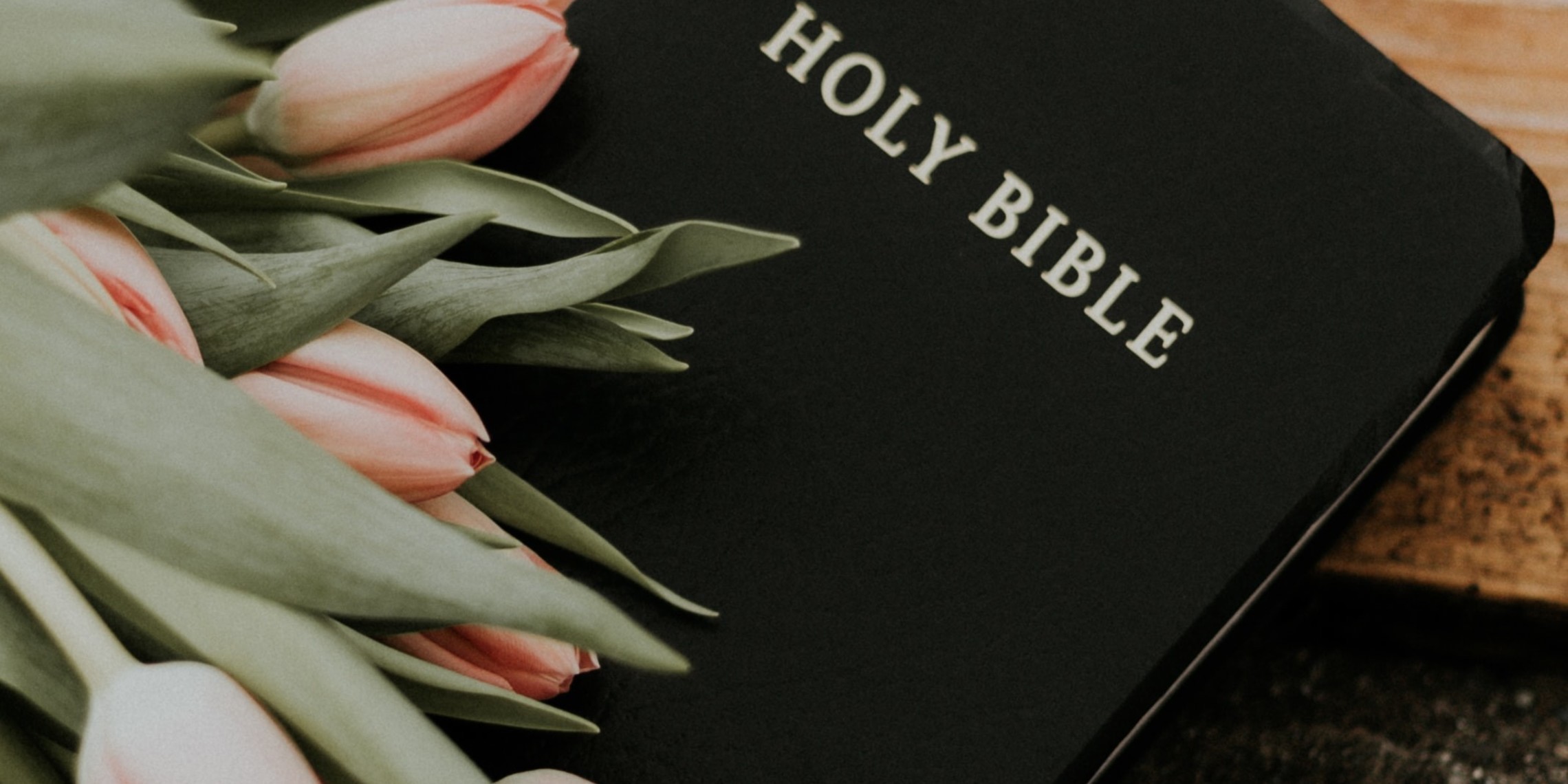 Unsplash Bible